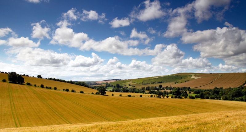 Brixton Deverill, Wiltshire Countryside